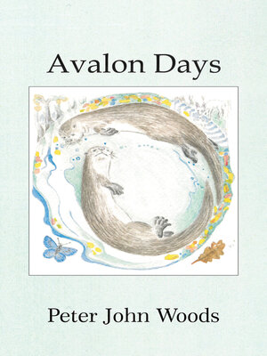 cover image of Avalon Days